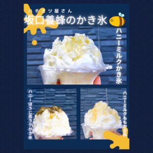 ハチミツ屋さんのかき氷