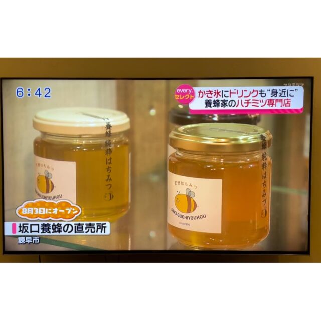 長崎県産 天然はちみつ ハゼ蜜 200g | 坂口養蜂
